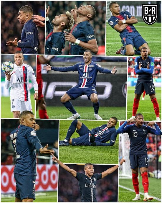 仅展现了柏 仅展现了柏