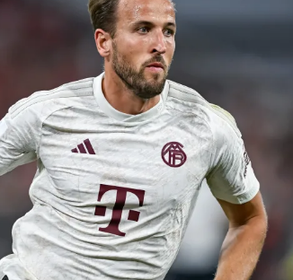 荷甲面临着 荷甲面临着