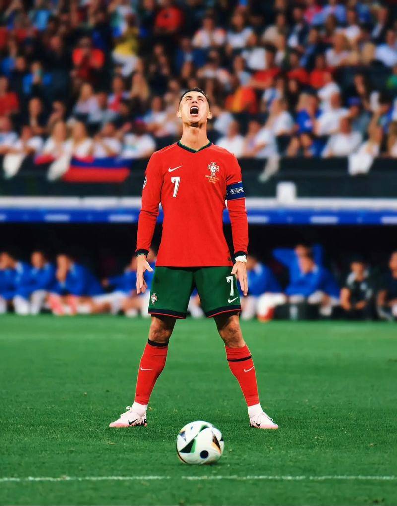 练组的信任 练组的信任