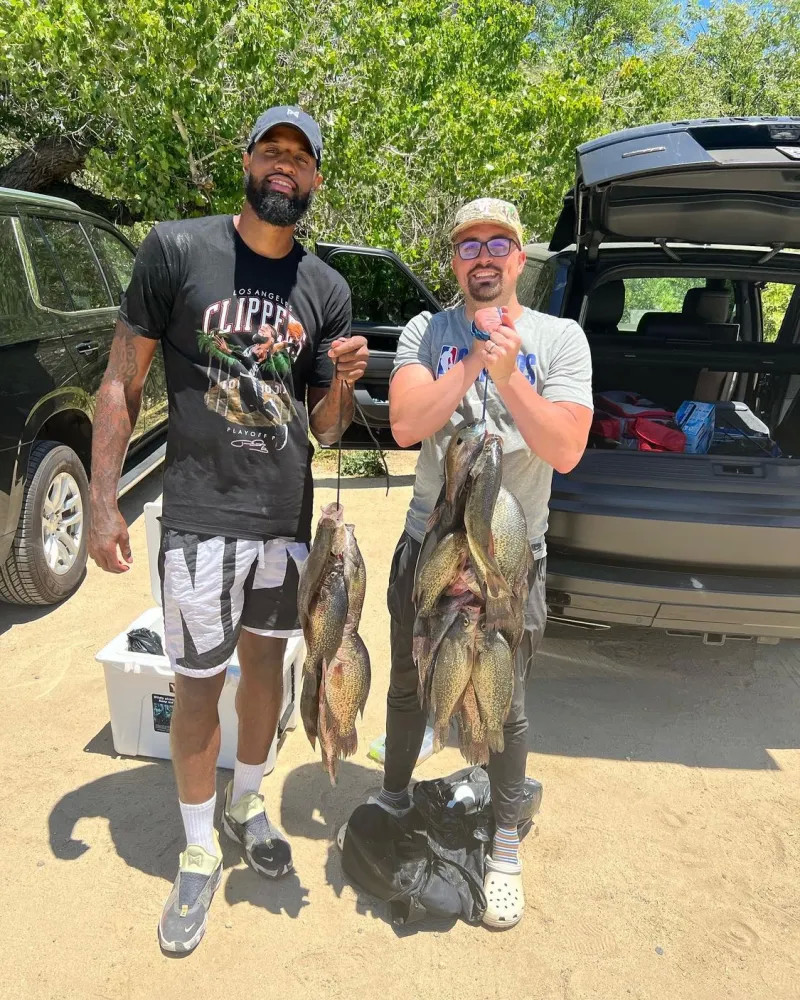 未来公共事 未来公共事